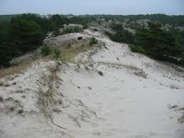 Rezerwat przyrody Mierzeja Sarbska